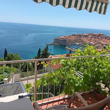 Panorama *